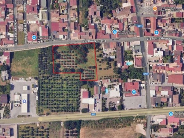 terreno agricolo in vendita a Maddaloni
