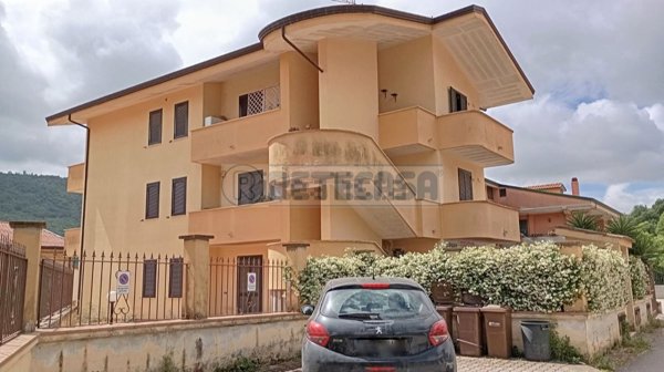 casa indipendente in vendita a Maddaloni