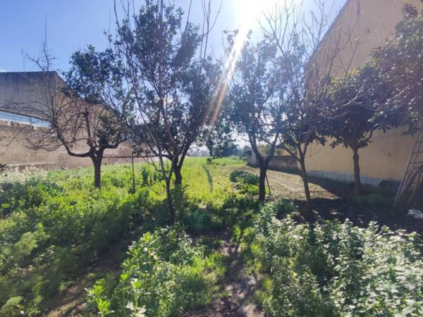terreno edificabile in vendita a Maddaloni