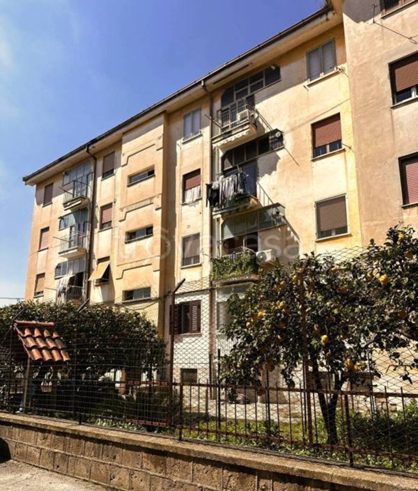 appartamento in vendita a Maddaloni