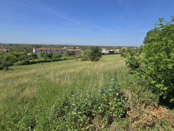 terreno agricolo in vendita a Maddaloni in zona Montedecoro