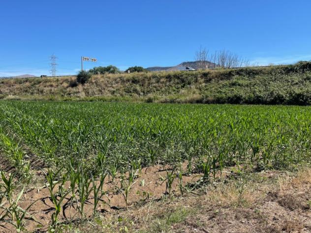 terreno edificabile in vendita a Maddaloni