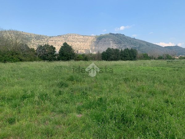 terreno agricolo in vendita a Maddaloni