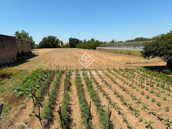 terreno agricolo in vendita a Maddaloni