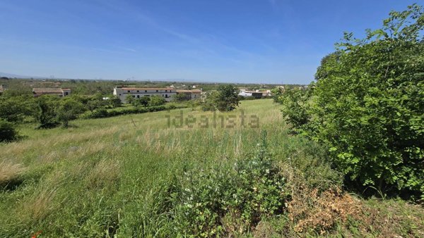 terreno agricolo in vendita a Maddaloni