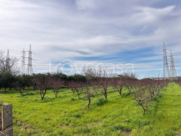 terreno in vendita a Maddaloni in zona Lamia