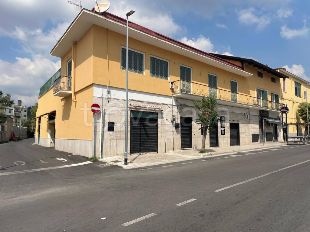 immagine annuncio 0 di 15