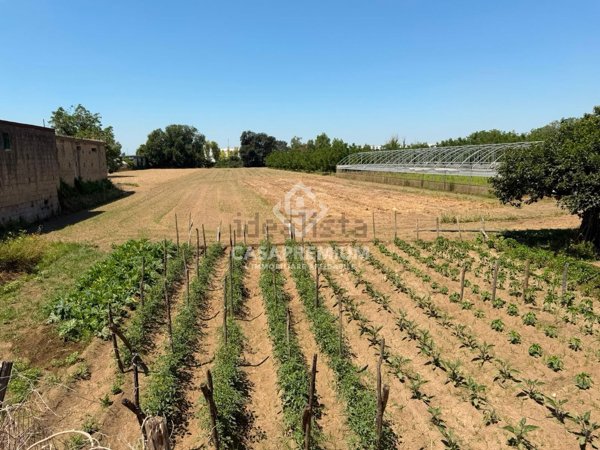 terreno in vendita a Maddaloni