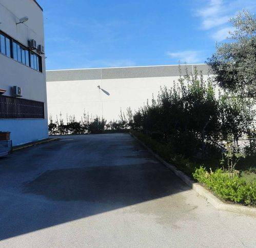 locale commerciale in vendita a Marcianise