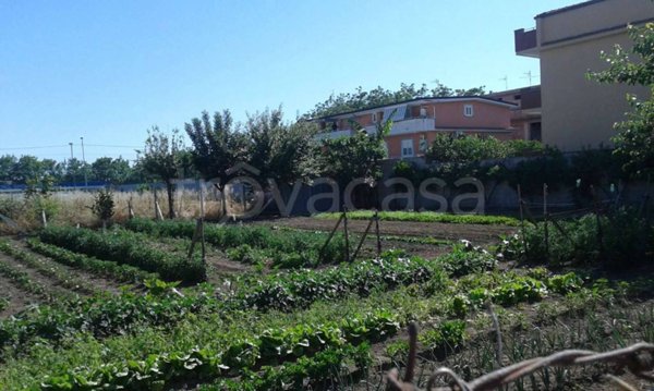 terreno agricolo in vendita a Marcianise