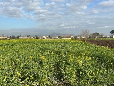 terreno edificabile in vendita a Marcianise