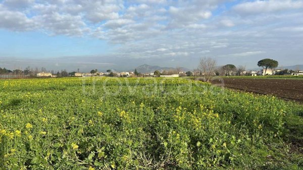 terreno agricolo in vendita a Marcianise in zona Trentola