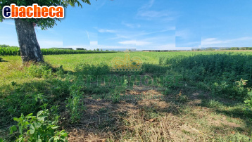 terreno agricolo in vendita a Marcianise