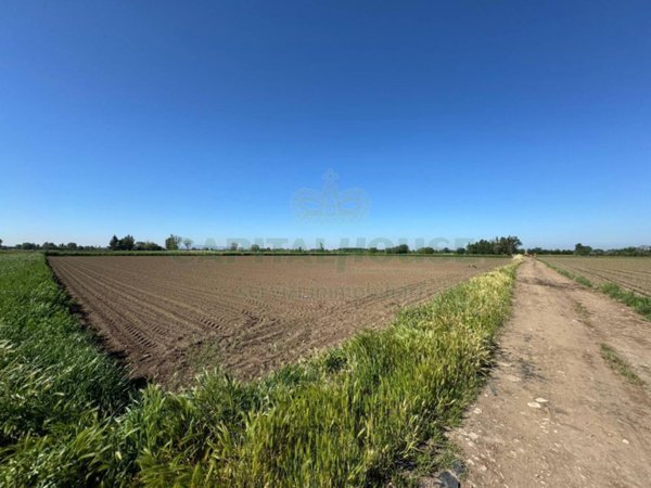 terreno agricolo in vendita a Marcianise