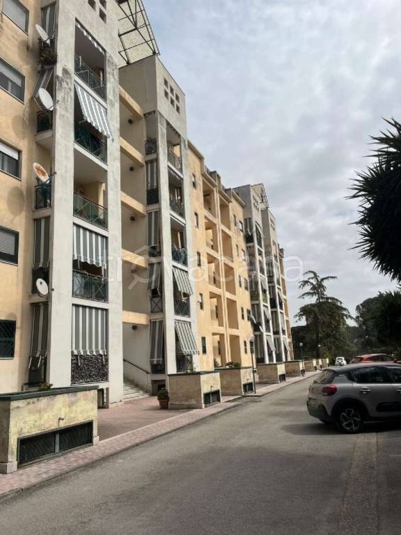 appartamento in vendita a Marcianise