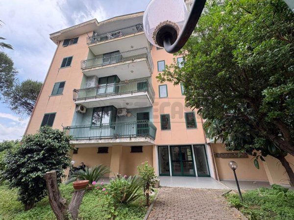 appartamento in vendita a Marcianise in zona Trentola