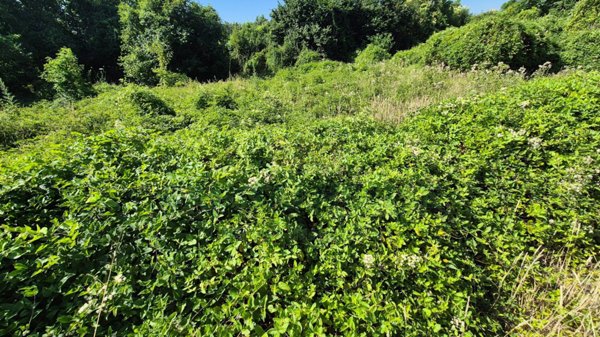 terreno agricolo in vendita a Marcianise