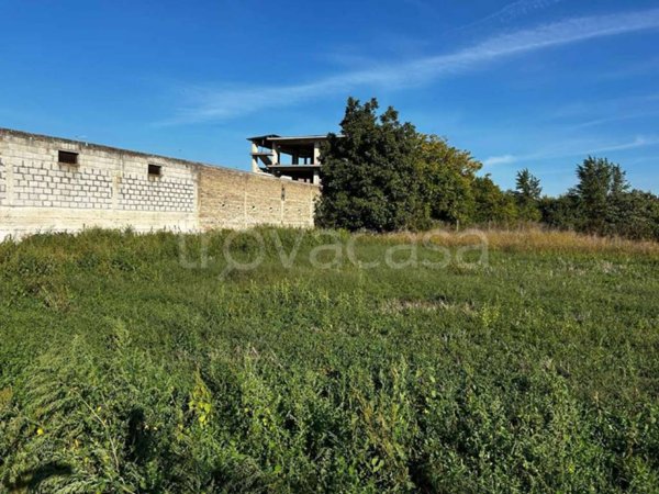 terreno agricolo in vendita a Marcianise