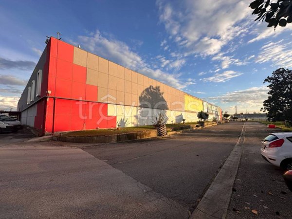 negozio in vendita a Marcianise