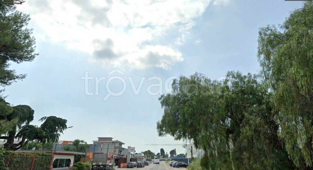 immagine annuncio 0 di 15