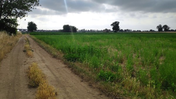 terreno agricolo in vendita a Marcianise in zona Centro Città