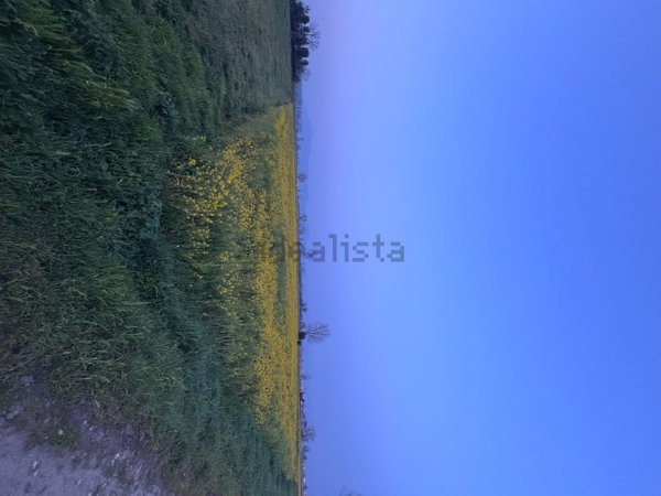 terreno agricolo in vendita a Marcianise