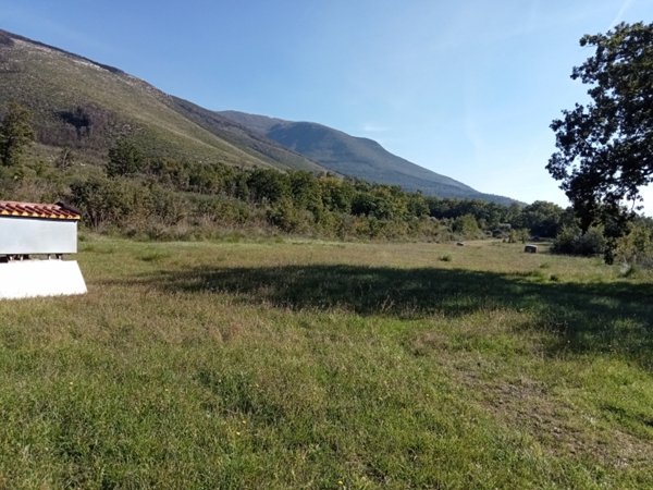 terreno agricolo in vendita a Mignano Monte Lungo