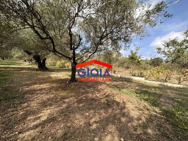 terreno agricolo in vendita a Mondragone