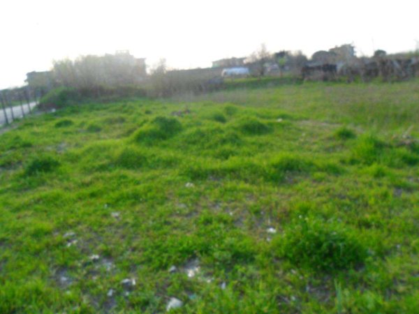 terreno agricolo in vendita a Mondragone
