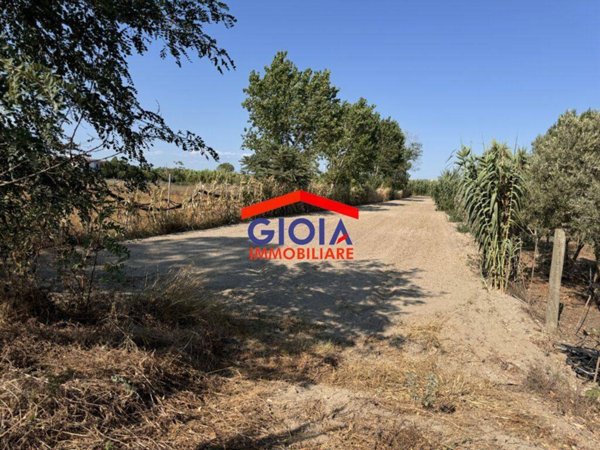 terreno agricolo in vendita a Mondragone