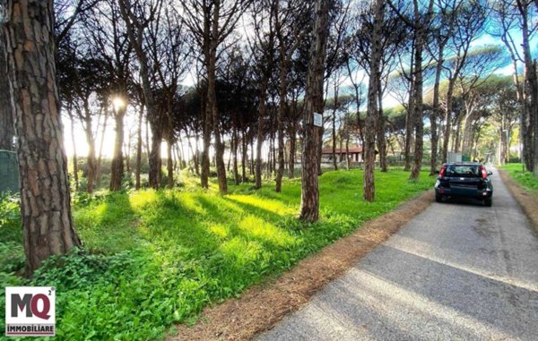 terreno agricolo in vendita a Mondragone