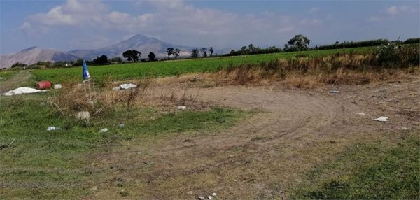 terreno agricolo in vendita a Mondragone