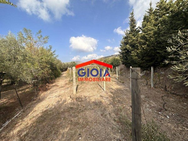 terreno agricolo in vendita a Mondragone