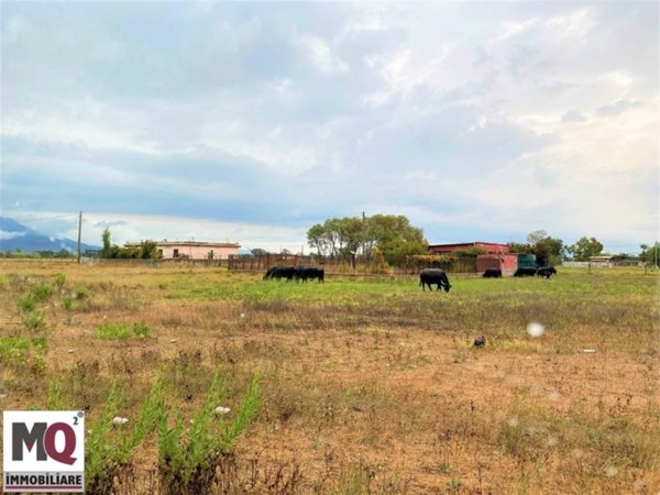 terreno agricolo in vendita a Mondragone