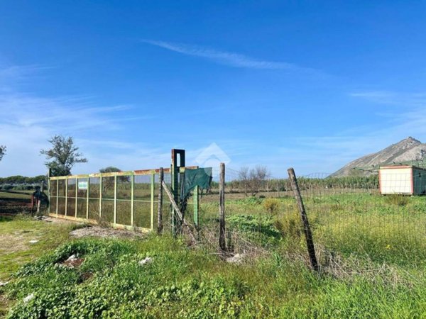 terreno agricolo in vendita a Mondragone