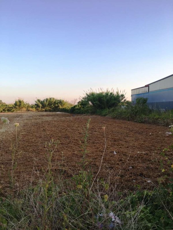 terreno agricolo in vendita a Mondragone