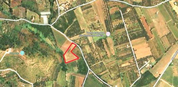 terreno agricolo in vendita a Mondragone