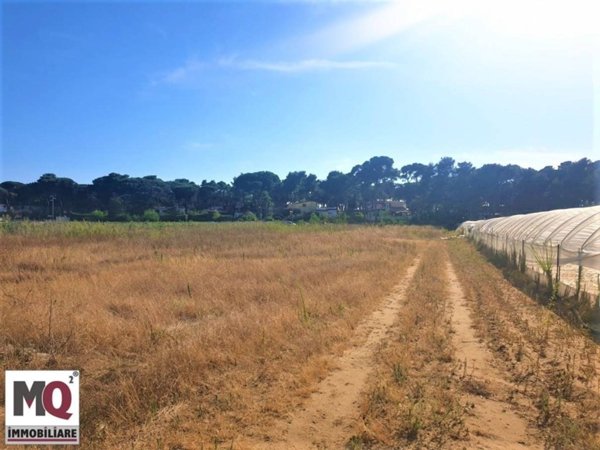 terreno agricolo in vendita a Mondragone
