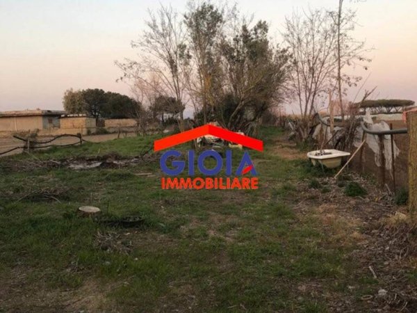 terreno agricolo in vendita a Mondragone