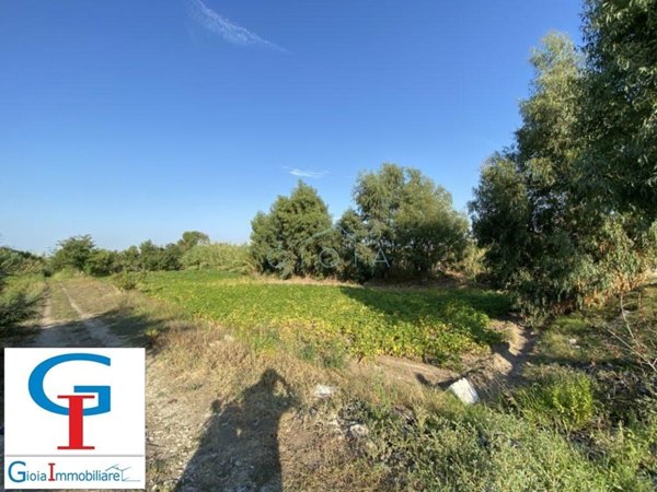 terreno agricolo in vendita a Mondragone