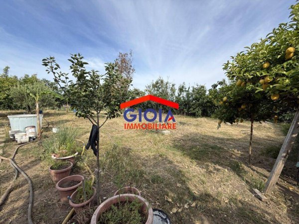 terreno agricolo in vendita a Mondragone