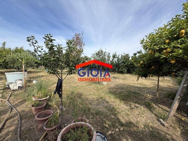 terreno agricolo in vendita a Mondragone