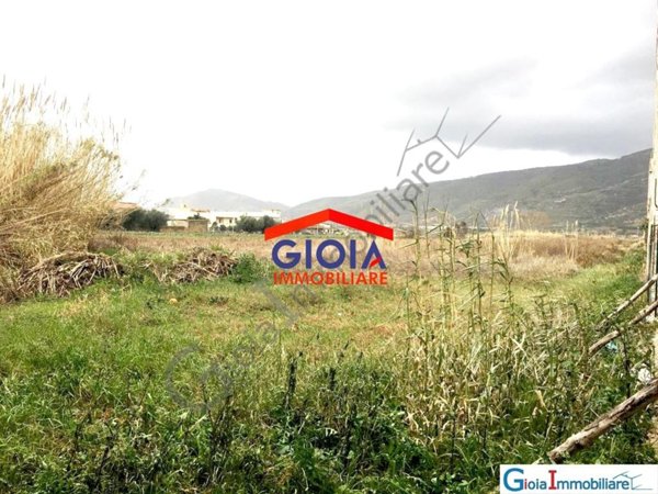 terreno agricolo in vendita a Mondragone