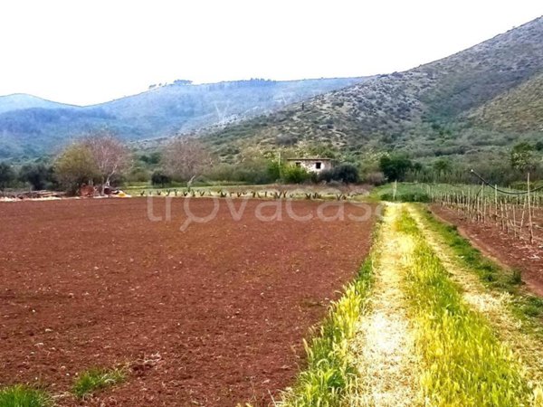 terreno agricolo in vendita a Mondragone
