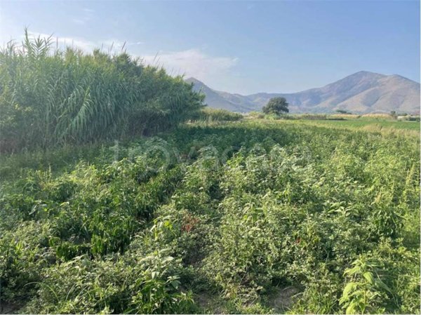 terreno agricolo in vendita a Mondragone