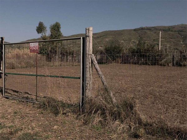 terreno agricolo in vendita a Mondragone