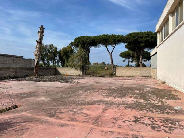 capannone in vendita a Mondragone