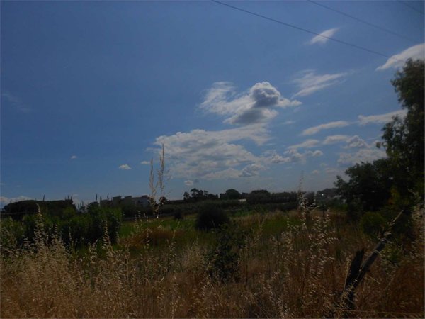 terreno agricolo in vendita a Mondragone