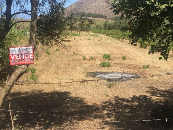 terreno agricolo in vendita a Mondragone