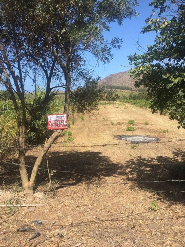 terreno agricolo in vendita a Mondragone